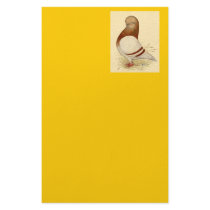 Tumbler Pigeon:  LFCL Mealy Personalized Stationery