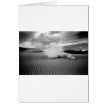 Tumbleweed in Desert Greeting Card