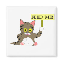 tummy ache magnets