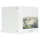 Tundra Swan, John Audubon Binder