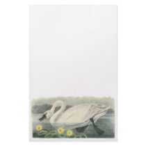 Tundra Swan, John Audubon Stationery Design