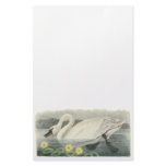 Tundra Swan, John Audubon Stationery Design