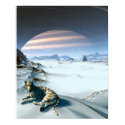 Tundra Tiger posters