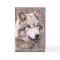Tundra Wolf cards by TLphoto Tundra Wolf cards
