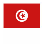 Tunisia Flag Map Spaghetti Top