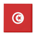 Tunisia Flag Magnet