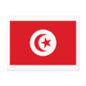 Tunisia Flag Postcard