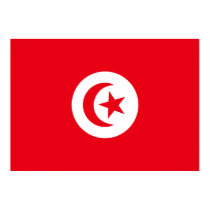 Tunisia Flag posters by coolcountry Tunisia Flag posters