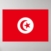 Tunisia Flag Posters