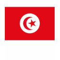 Tunisia Flag T-shirt shirt