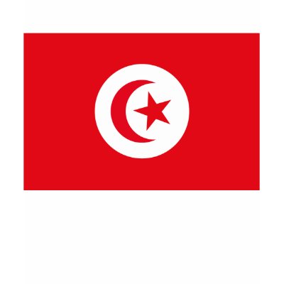 Tunisia Flag T-shirt by FlagTshirts