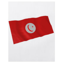 tunisia flyers