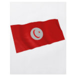 tunisia flyers