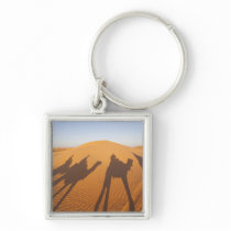 Tunisia, Ksour Area, Ksar Ghilane, Grand Erg 5 Key Chains