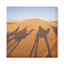 Tunisia, Ksour Area, Ksar Ghilane, Grand Erg 5 Magnets