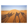 Tunisia, Ksour Area, Ksar Ghilane, Grand Erg 5