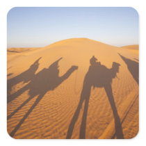 Tunisia, Ksour Area, Ksar Ghilane, Grand Erg 5 Sticker