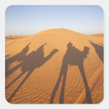 Tunisia, Ksour Area, Ksar Ghilane, Grand Erg 5 Sticker