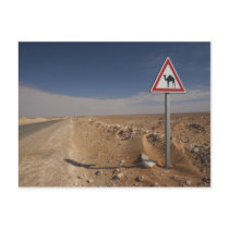 Tunisia, Ksour Area, Ksar Ghilane, Oil Pipeline Postcard