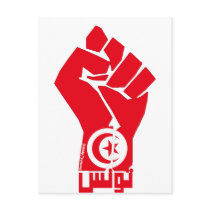 Tunisia Postcard