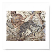Tunisia Roman Mosaics posters