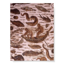 Tunisia Roman Mosaics posters