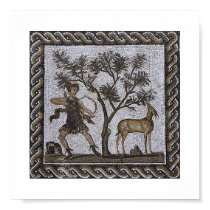 Tunisia Roman Mosaics posters