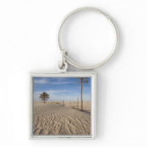 Tunisia, Sahara Desert, Douz, Great Dune, dawn Key Chains