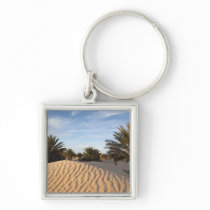 Tunisia, Sahara Desert, Douz, Great Dune, palm 2