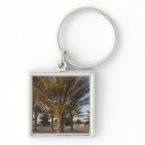 Tunisia, Sahara Desert, Douz, Great Dune, palm Key Chains