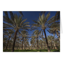 Tunisia, Sahara Desert, Douz, Zone Touristique, 2 Greeting Card