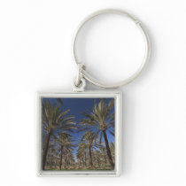 Tunisia, Sahara Desert, Douz, Zone Touristique, 2 Keychain