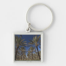Tunisia, Sahara Desert, Douz, Zone Touristique, 2 Keychain