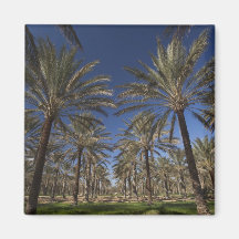 Tunisia, Sahara Desert, Douz, Zone Touristique, 2 Refrigerator Magnets