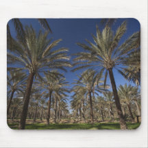 Tunisia, Sahara Desert, Douz, Zone Touristique, 2 Mousepad