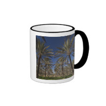 Tunisia, Sahara Desert, Douz, Zone Touristique, 2 Mug