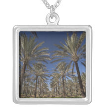 Tunisia, Sahara Desert, Douz, Zone Touristique, 2 Necklaces