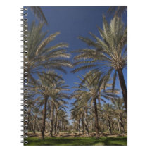 Tunisia, Sahara Desert, Douz, Zone Touristique, 2 Spiral Note Books