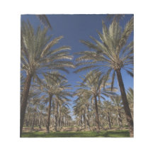 Tunisia, Sahara Desert, Douz, Zone Touristique, 2 Memo Pad