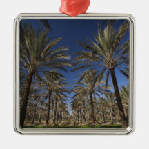 Tunisia, Sahara Desert, Douz, Zone Touristique, 2 Christmas Tree Ornament