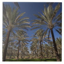 Tunisia, Sahara Desert, Douz, Zone Touristique, 2 Ceramic Tile