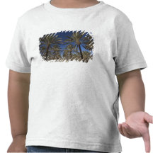 Tunisia, Sahara Desert, Douz, Zone Touristique, 2 Shirts