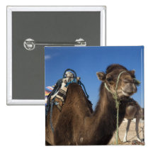 Tunisia, Sahara Desert, Douz, Zone Touristique, Pins