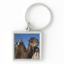 Tunisia, Sahara Desert, Douz, Zone Touristique, Key Chains