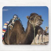 Tunisia, Sahara Desert, Douz, Zone Touristique, Mousepads