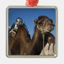 Tunisia, Sahara Desert, Douz, Zone Touristique, Ornaments