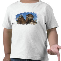 Tunisia, Sahara Desert, Douz, Zone Touristique, Tshirts