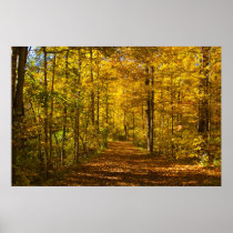Tunnel of Colors Posters