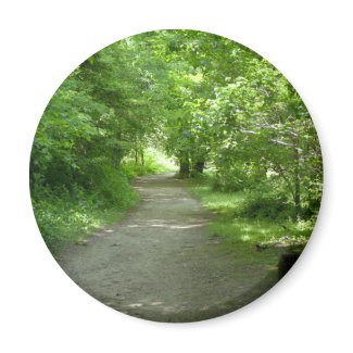 Tunnel of Leaves Magnet magnet