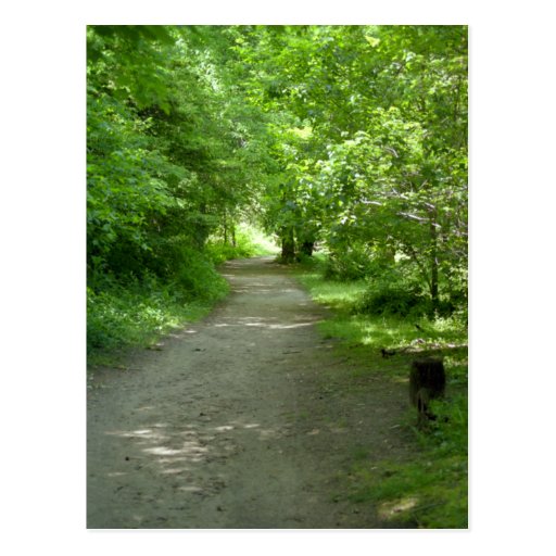 Tunnel of Leaves Postcard